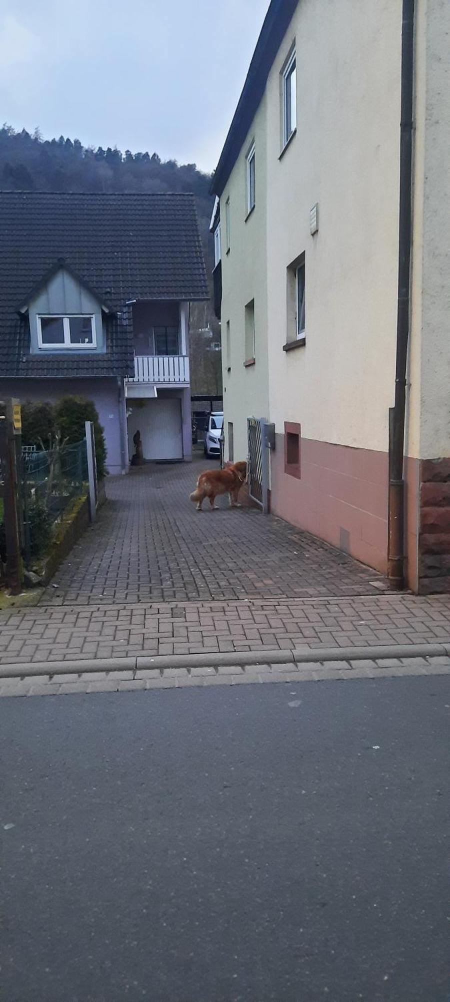 Main Zu Hause Villa Eichenbuhl  Esterno foto